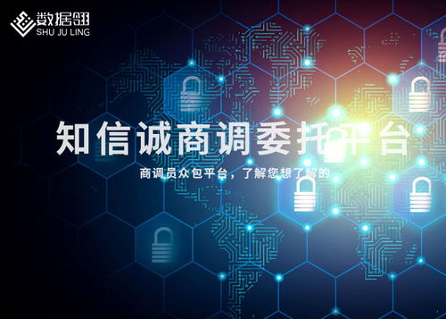 平涼大米市場調查全攻略 從目標到渠道的實踐指南